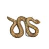 hebilla serpiente dorada hebilla serpiente dorada